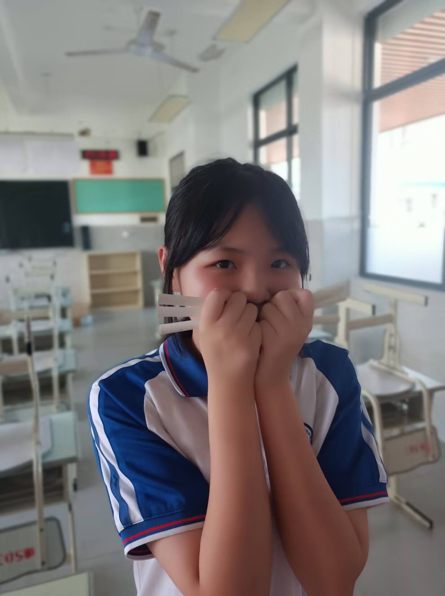 粉笔小猫